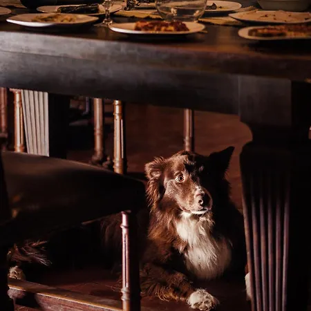 Manoir De Laroque Delprat 4* 오토얼