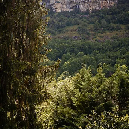 B&B Manoir De Laroque Delprat