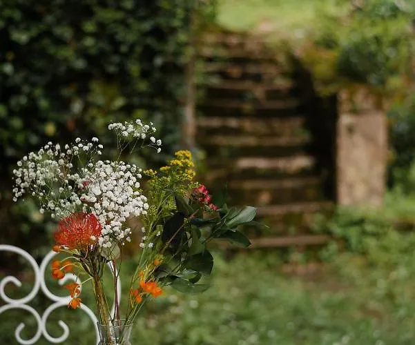 Bed & Breakfast Manoir De Laroque Delprat Autoire