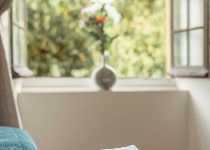 Bed & Breakfast Manoir De Laroque Delprat 4*