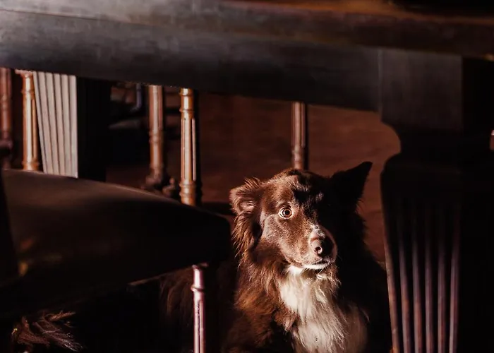 Manoir De Laroque Delprat 4* Autoire