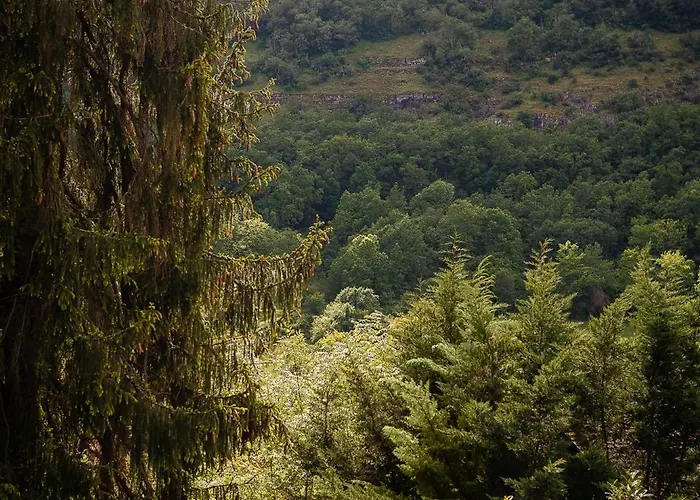 Couette-café Manoir De Laroque Delprat